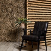 Lightstudio: 