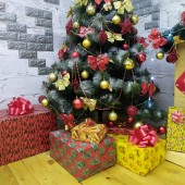 Holiday photo studio: 