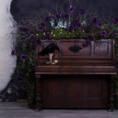 MAGICMOON: 