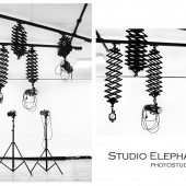  Studio Elephant: 