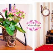 ������������ ���������� 